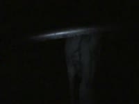 Animal sex video with beastiality lover
